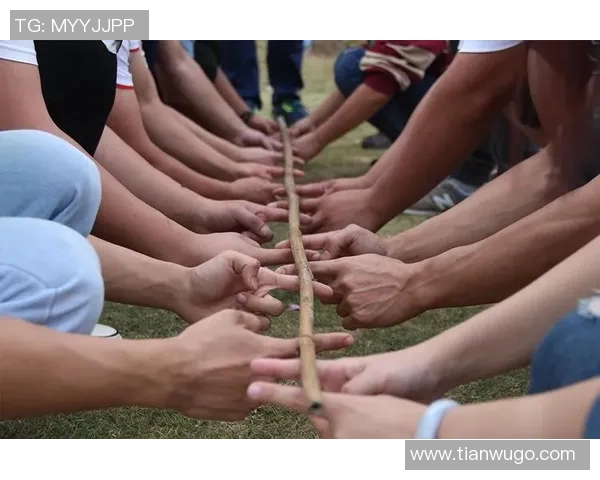北京滑板队的文化认同与团队意识研究探讨