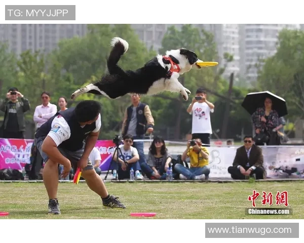 北京飞盘队在极限运动世界杯中的奋斗与突破之路全景回顾