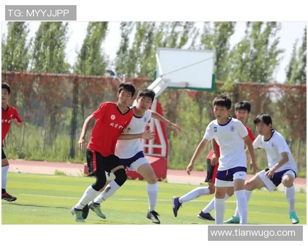 北京足球队配合分析:战术演变与球员默契的深度对比 北京足球队配合分析:战术演变与球员默契的深度对比